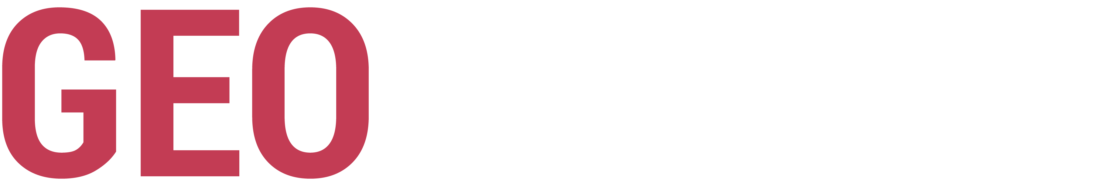 Logo loader